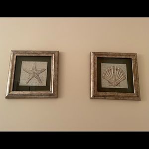 Kirklands Coastal Beauty Art